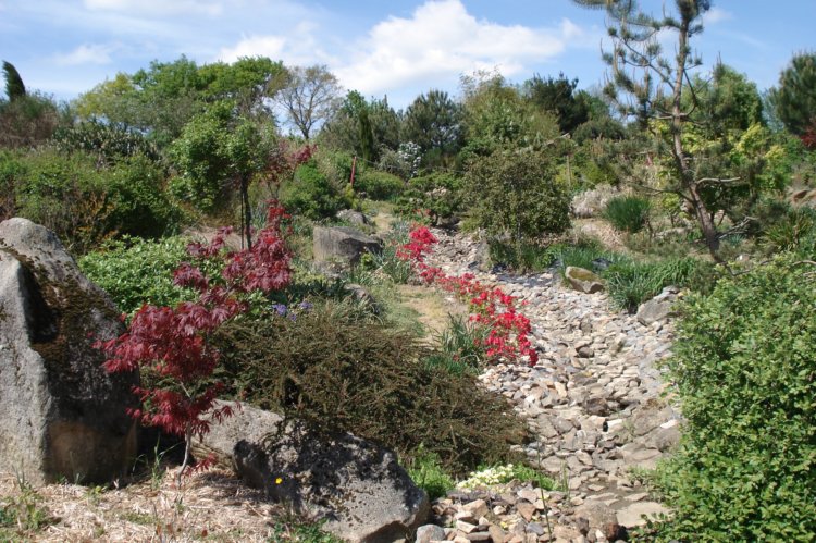 ../previews/015-2010-05-05_13-20-20_jardincoindrie_com_DSC02308_ - Copie.jpg.medium.jpeg